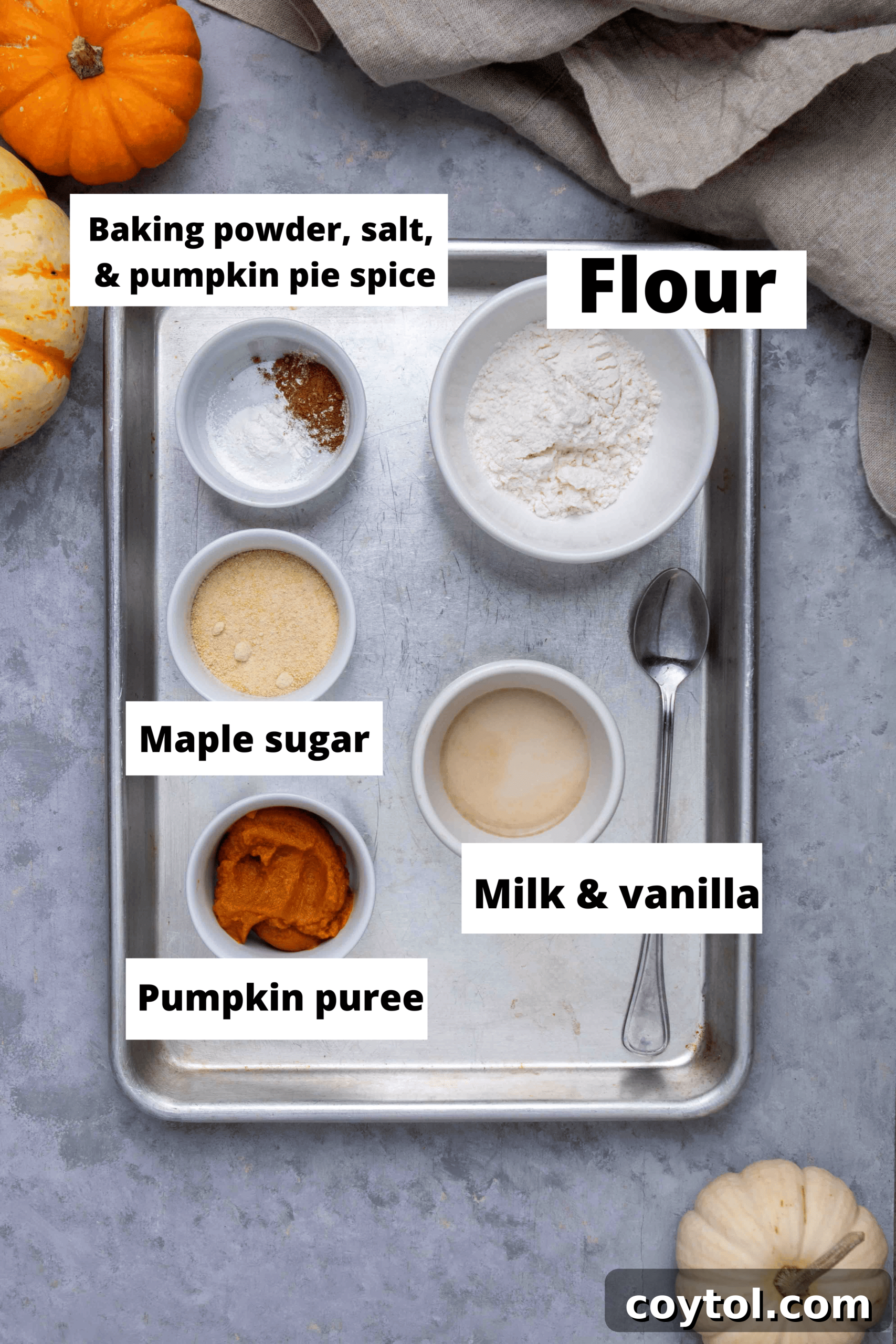 Close-up of the moist, spiced interior of the pumpkin mug cake, showcasing its tender crumb.