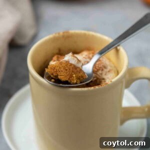Single serve pumpkin mug cake recipe