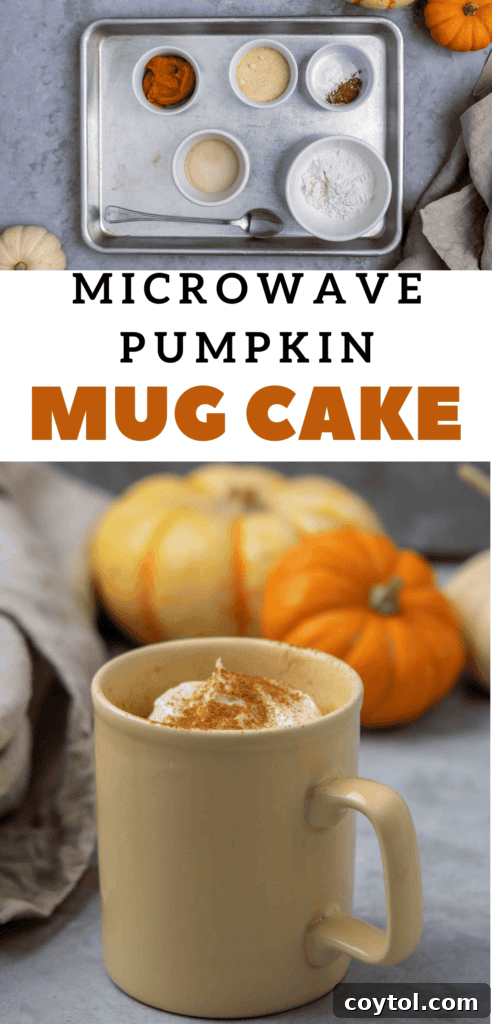 Overhead shot of a pumpkin mug cake, showcasing its inviting texture and golden-brown top.