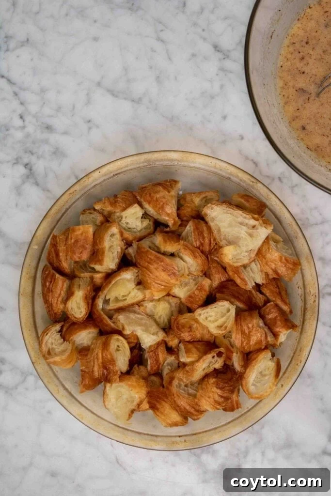 Adding torn croissants to the bowl of egg custard