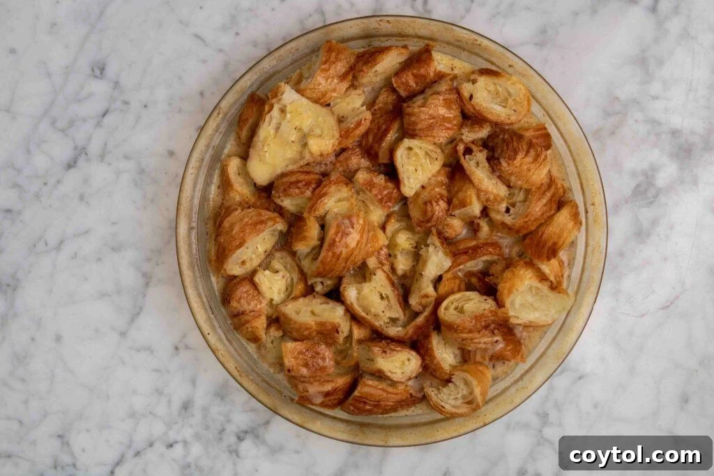 Gently folding croissant pieces into the French toast custard until fully soaked
