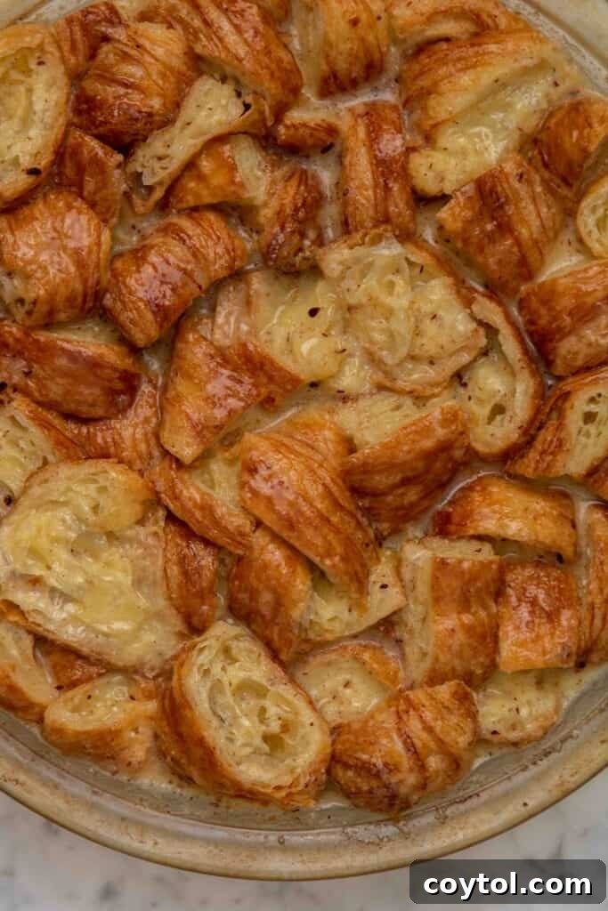 Croissant French Toast Bake placed in the oven for baking