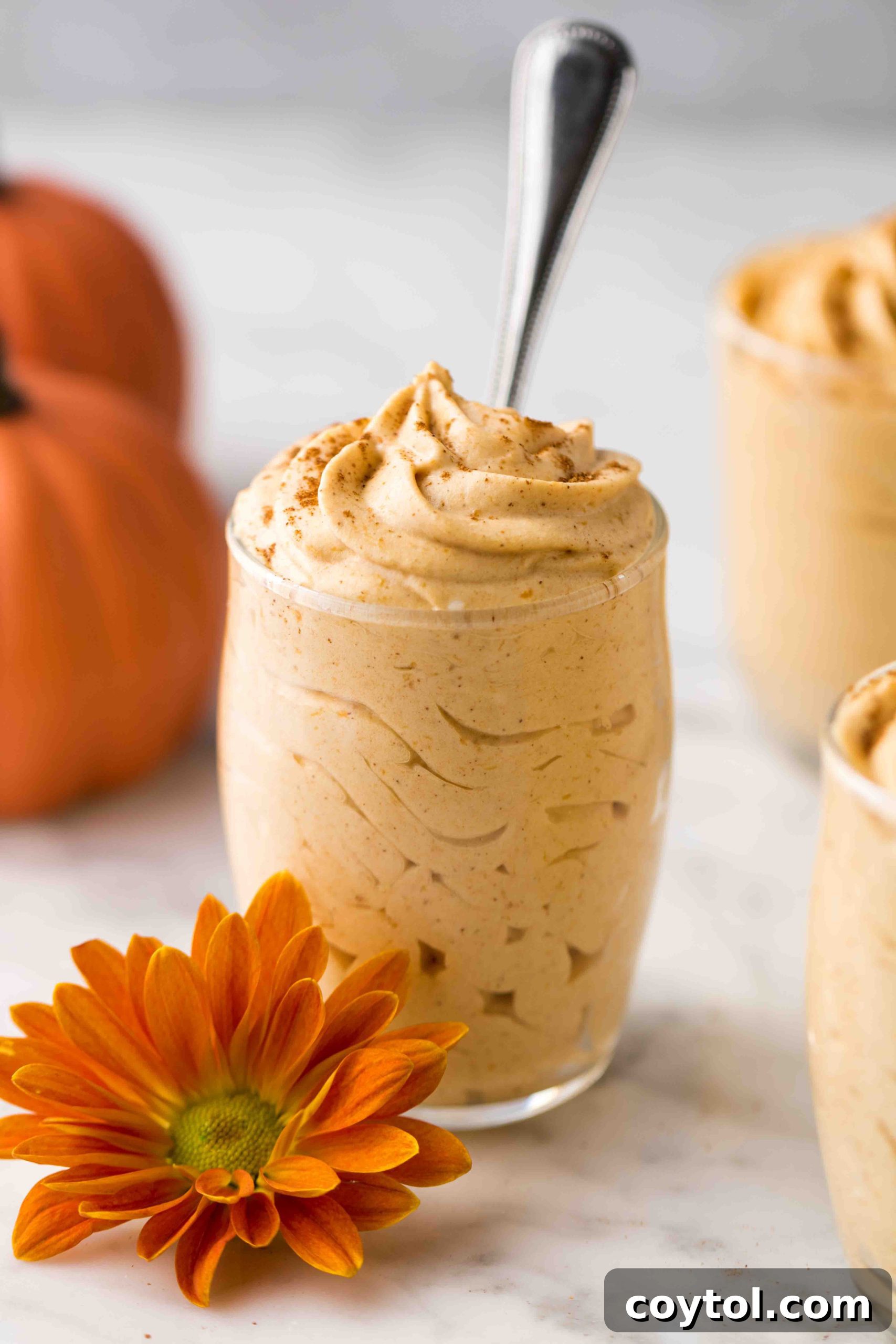 A serving of creamy Keto pumpkin mousse in a glass