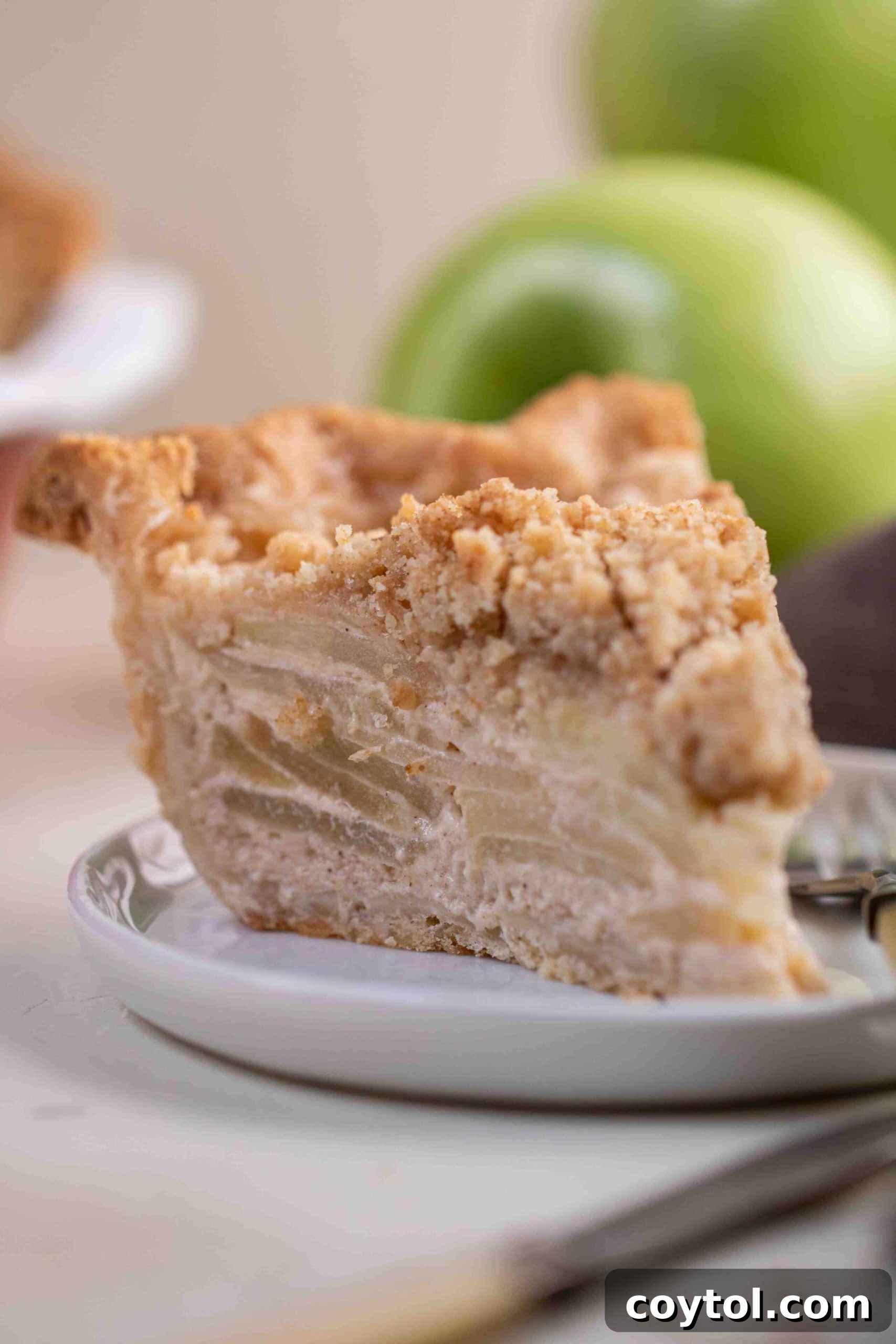 Close-up of a rustic Dutch apple pie with a delicious crumb topping