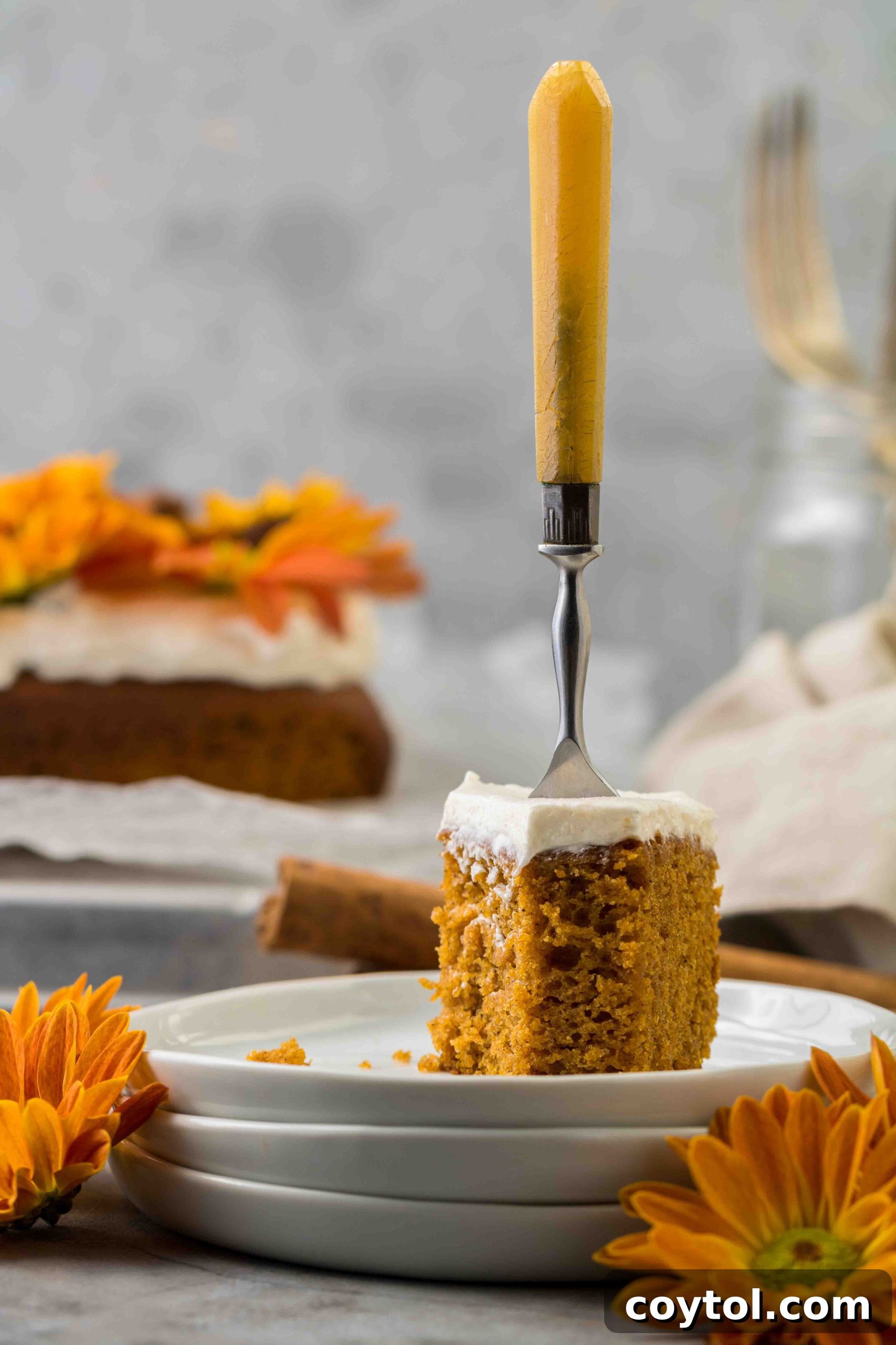A square slice of moist pumpkin sheet cake with cream cheese frosting
