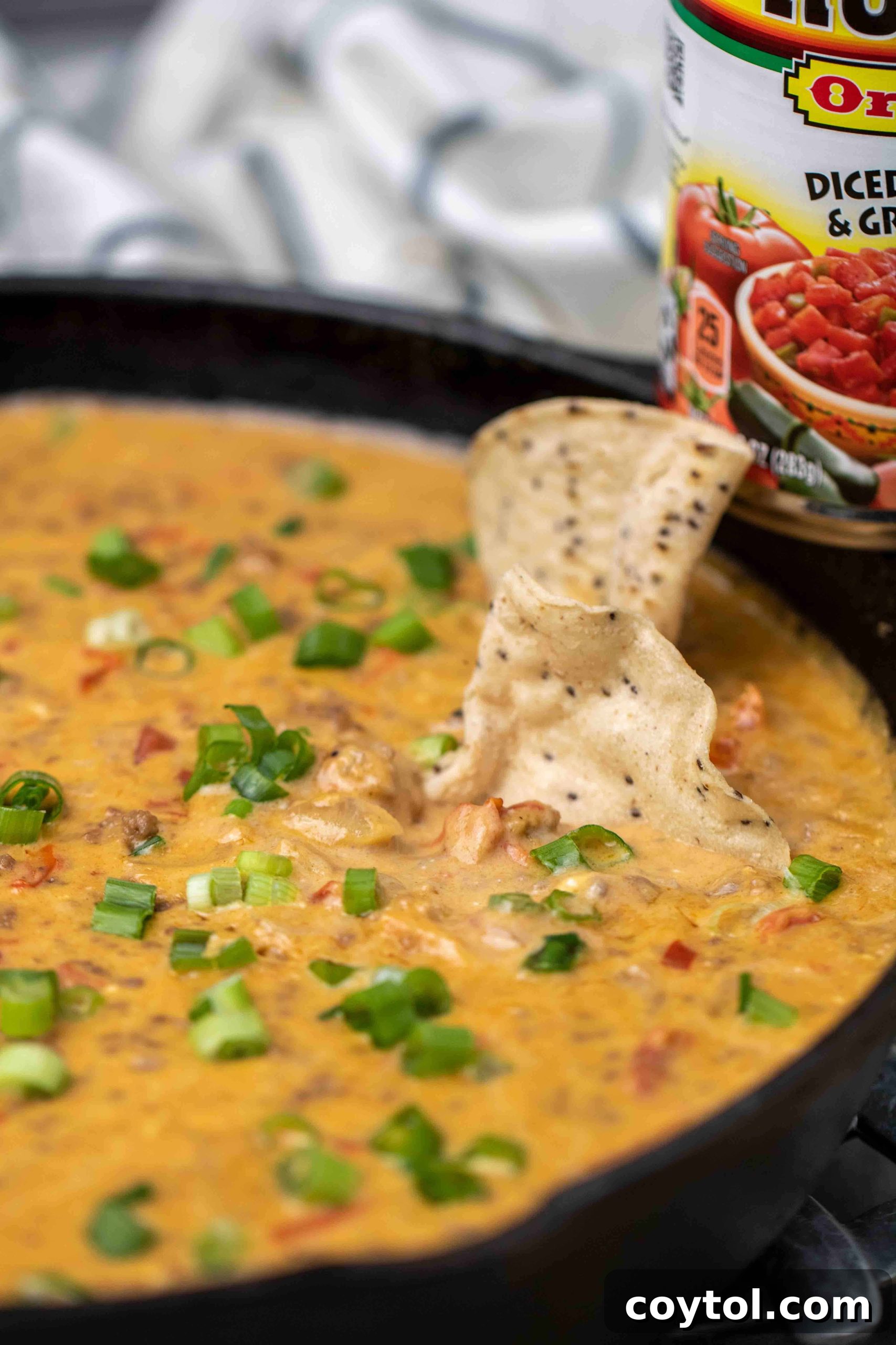 A large skillet of hot, cheesy Rotel dip garnished with green onions and ready to serve with tortilla chips.