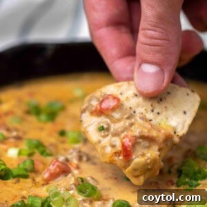 Rotel dip bite with a chip