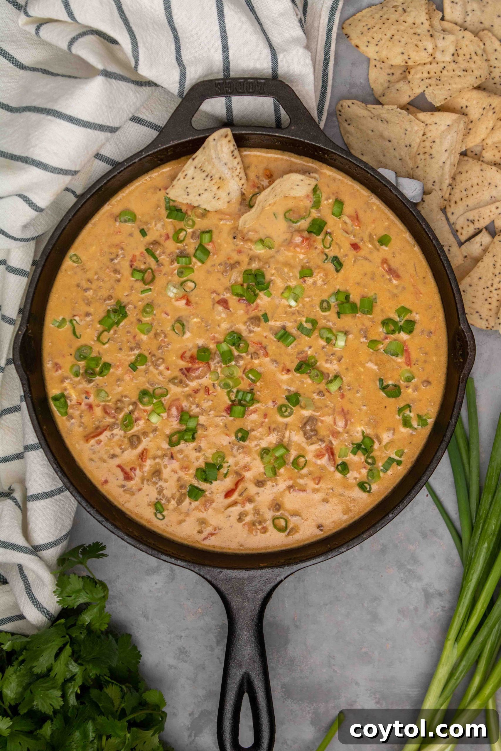 A closer view of the rich, melted cheese Rotel dip, showing off its creamy texture and bits of ground beef and green onion, ready for dipping.