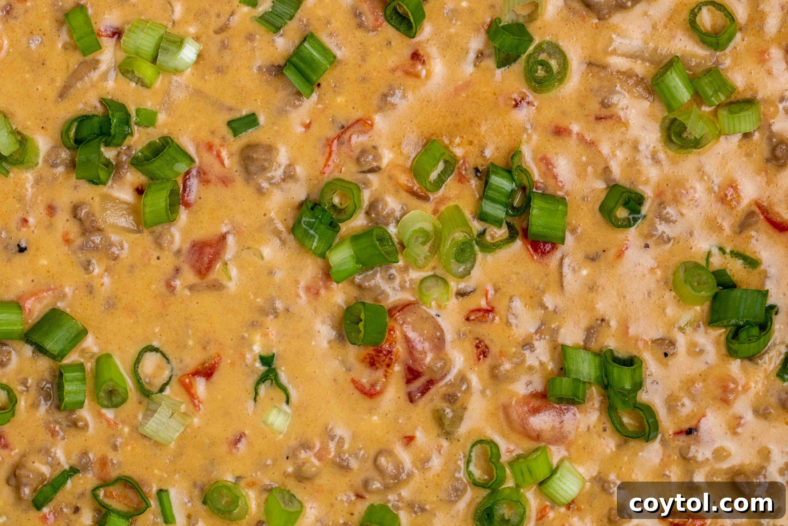 Overhead close up shot of the Rotel dip with green onion ready to be scooped.