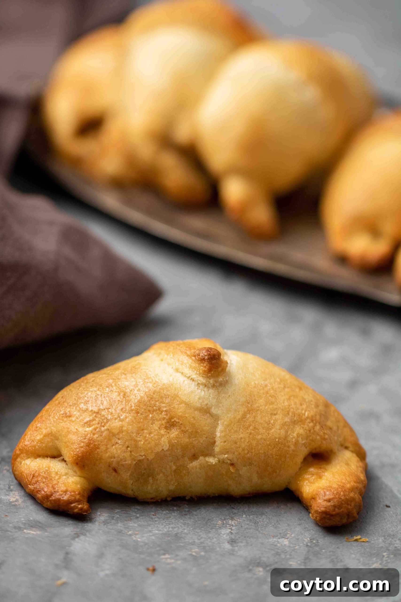 Zesty Rotel Beef and Cheese Crescents 8 A platter of golden-brown Rotel cheese and ground beef crescent rolls