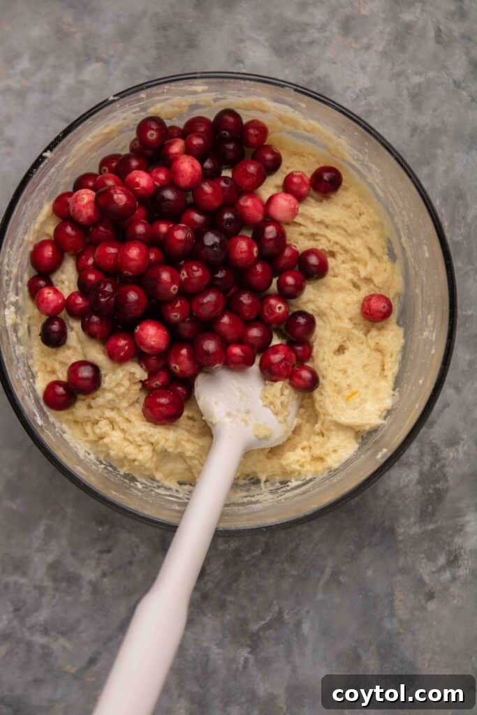Close-up of cranberry orange muffin batter
