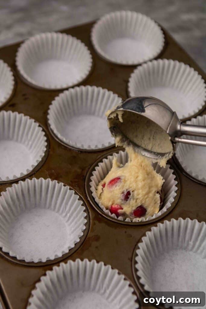 Baked cranberry orange muffins in a muffin tin
