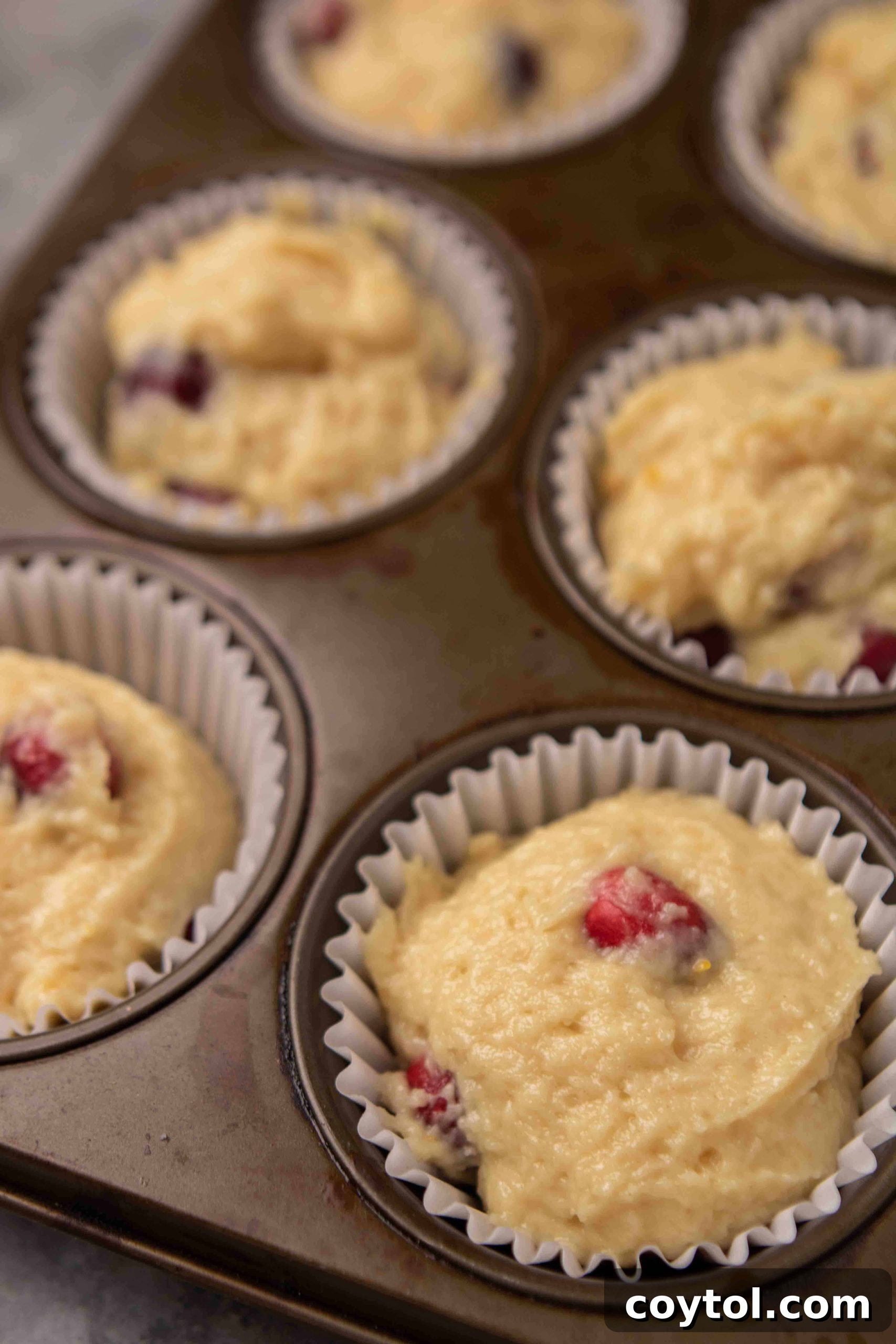 Golden-brown cranberry orange muffins cooling