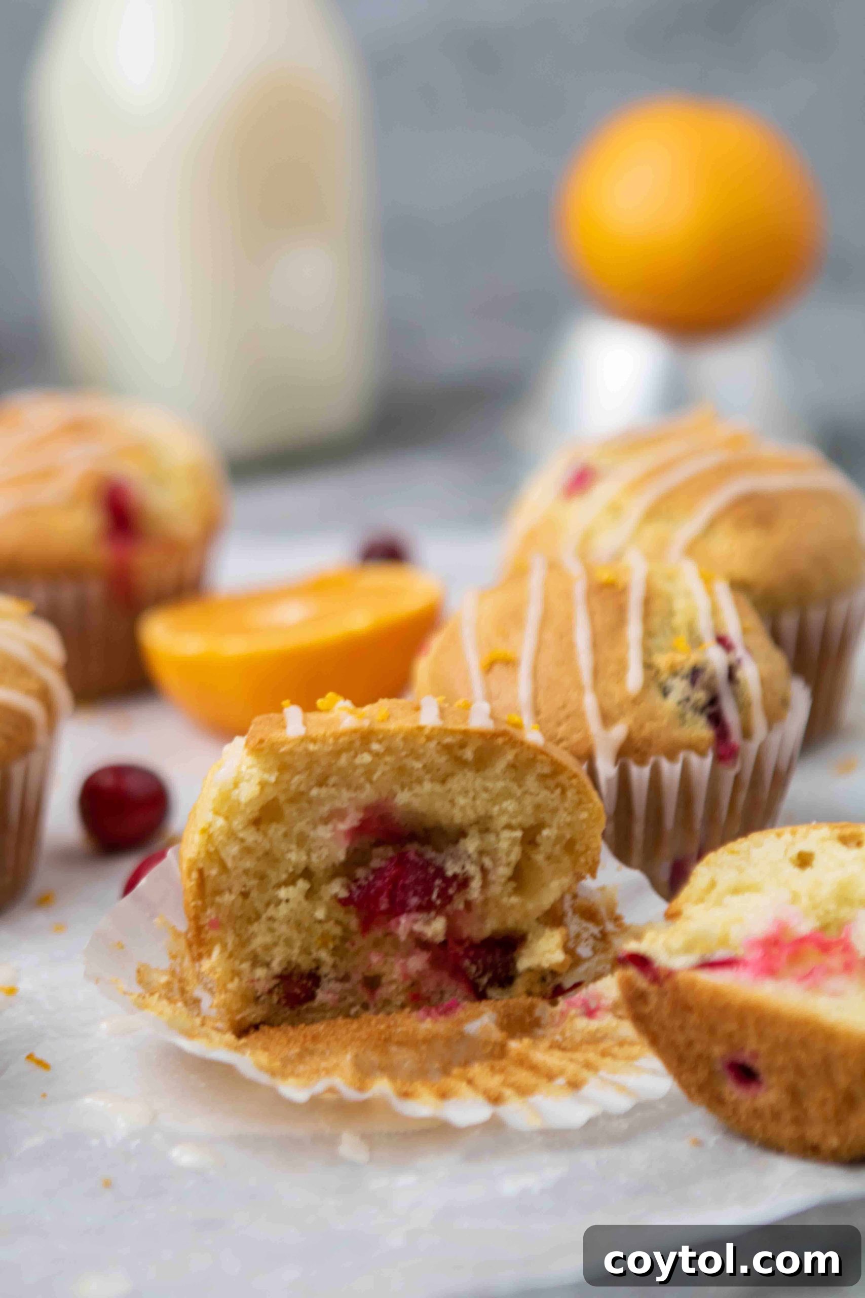 A freshly baked cranberry orange muffin, split in half to reveal its moist interior and cranberry pieces.