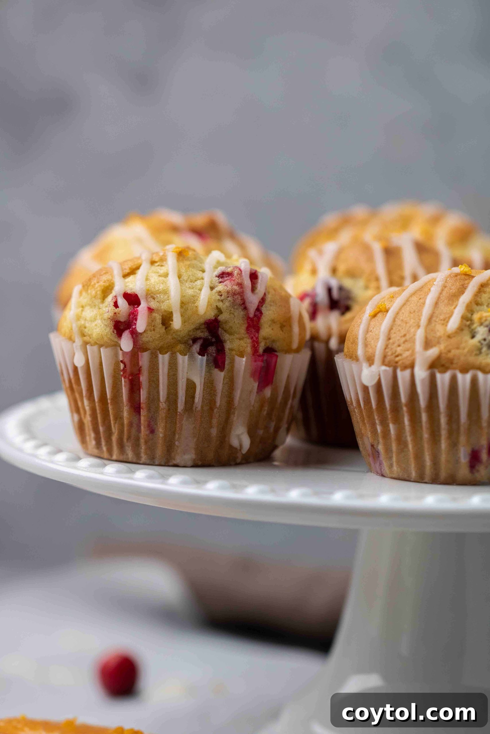 Bakery style cranberry orange muffins on a elegant cake stand, showcasing their moist texture and generous cranberry filling.