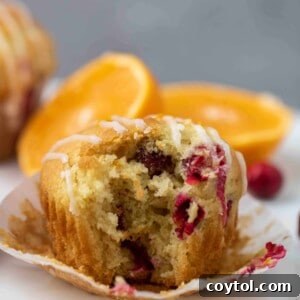 Moist cranberry orange muffins with orange glaze, perfect for breakfast or a snack.