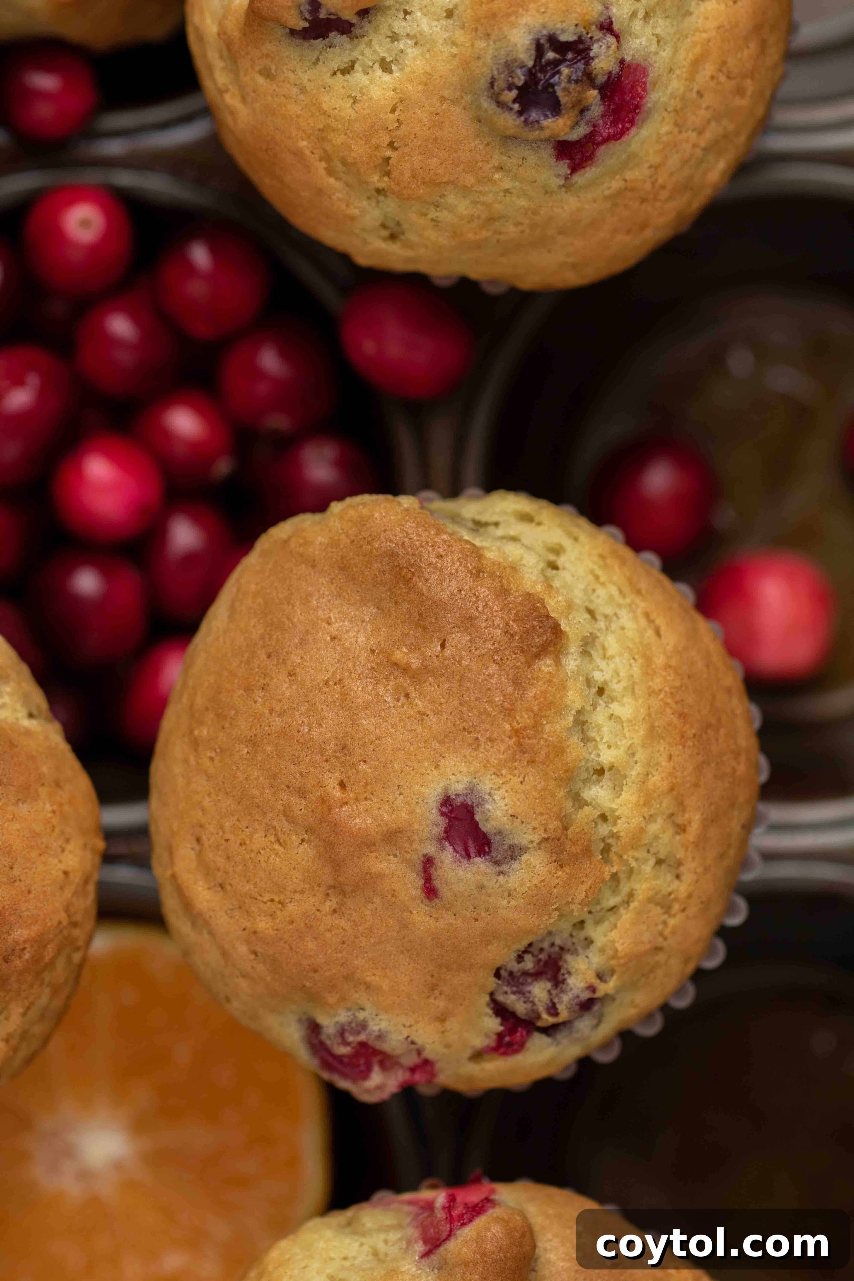 Artfully arranged cranberry orange muffins with orange drizzle on a white background, highlighting their elegant presentation.