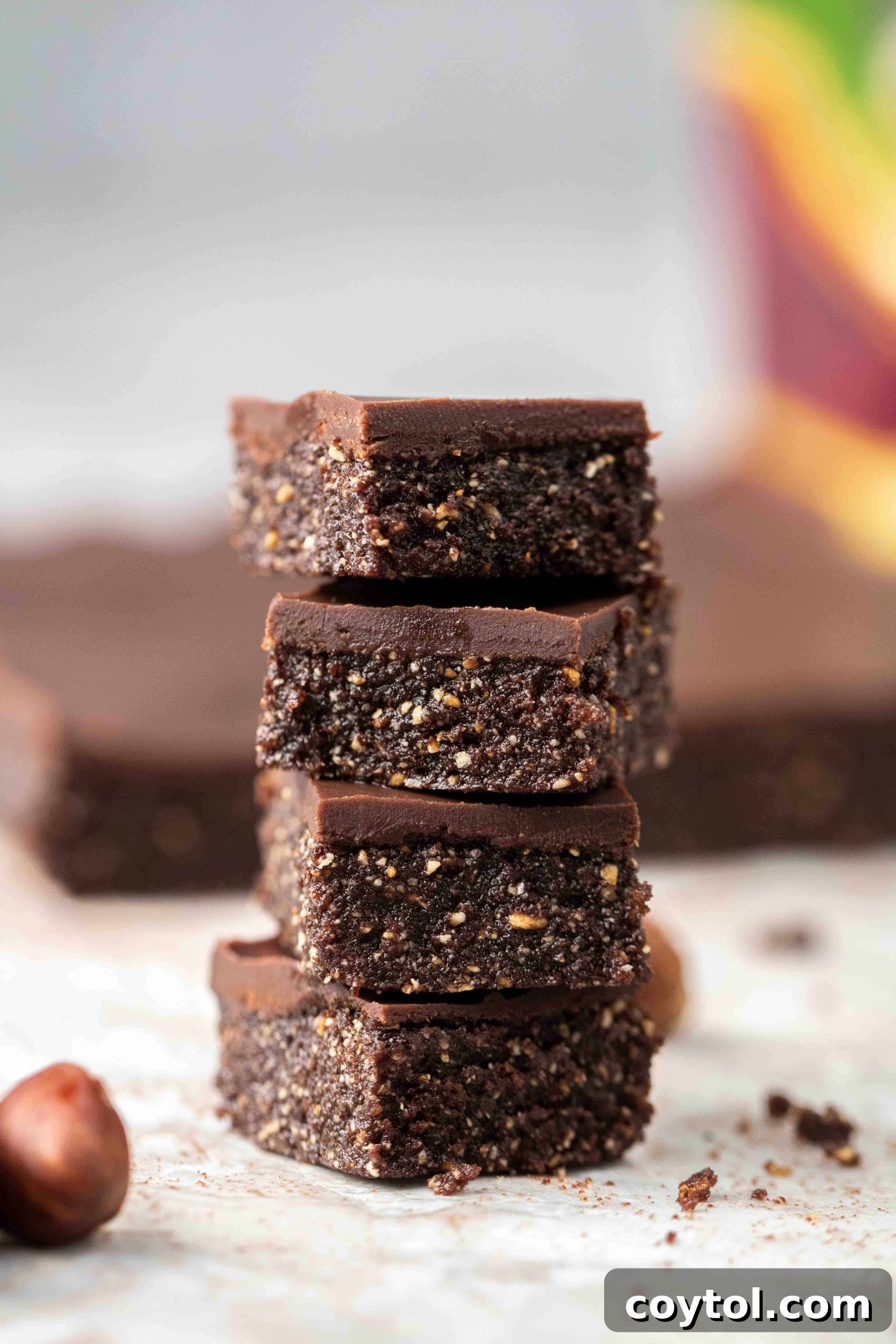 Vegan chocolate hazelnut bars with a rich ganache topping