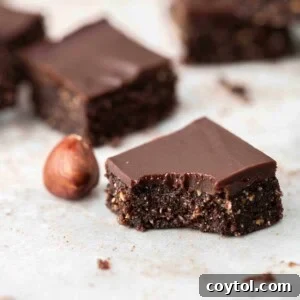 vegan chocolate hazelnut bite