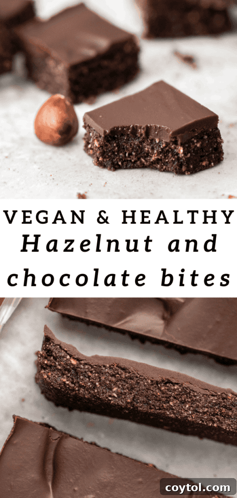 Vegan nutella chocolate hazelnut bars for Pinterest