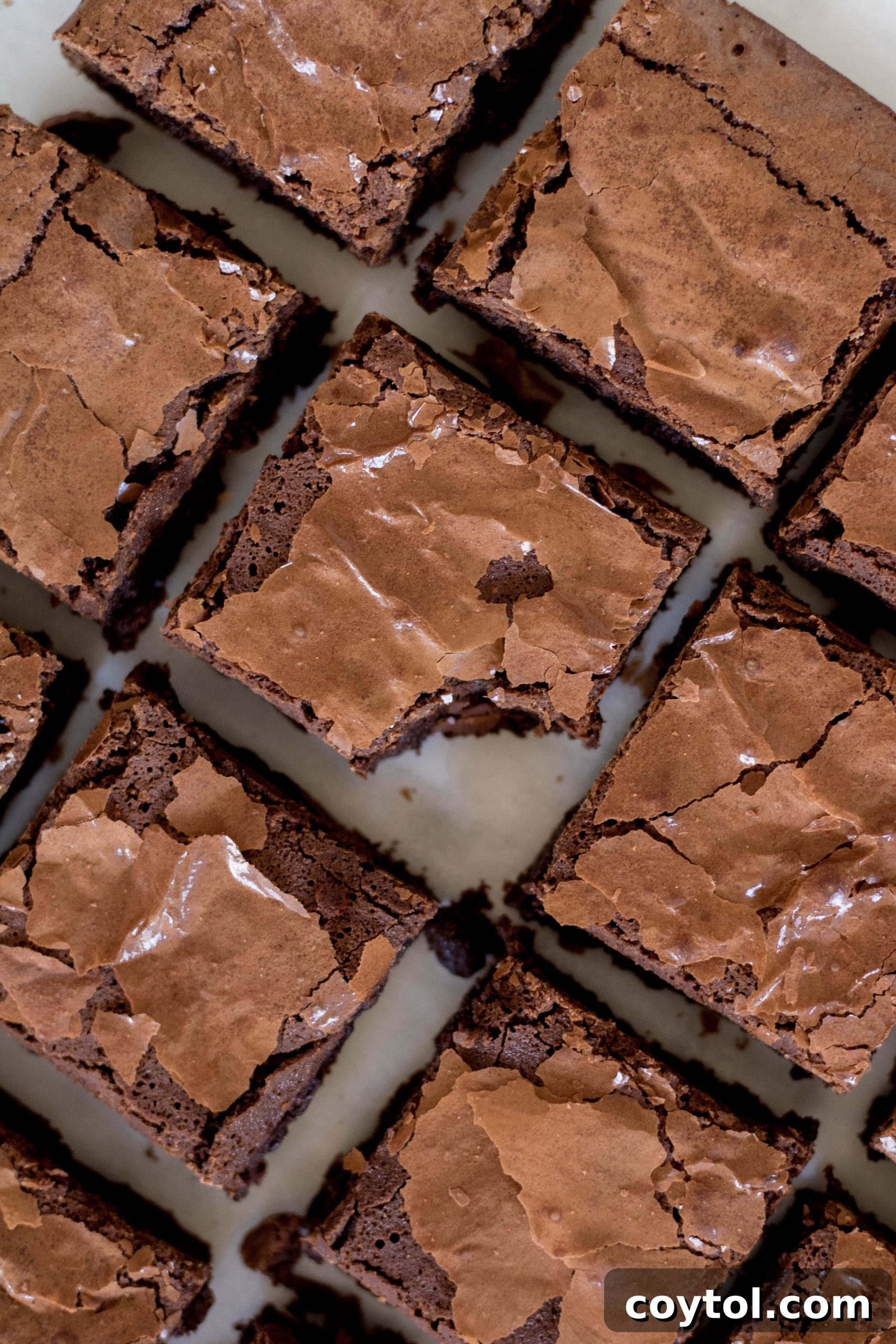 Close-up of a perfectly baked brownie, highlighting its rich, dark color and soft texture.
