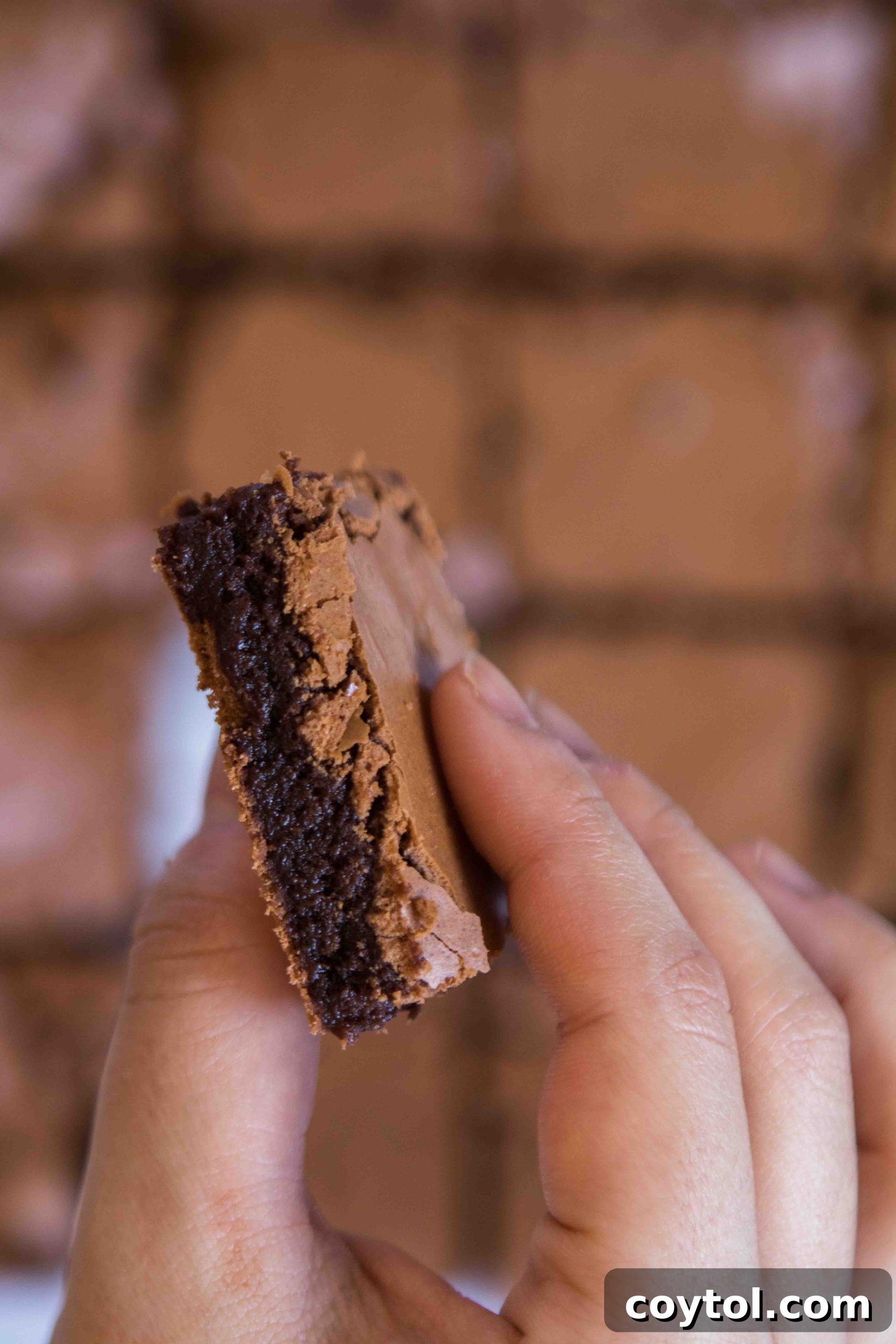 Close-up of a fudgy dark chocolate brownie with a shiny, crinkled top, showing its dense and moist interior.