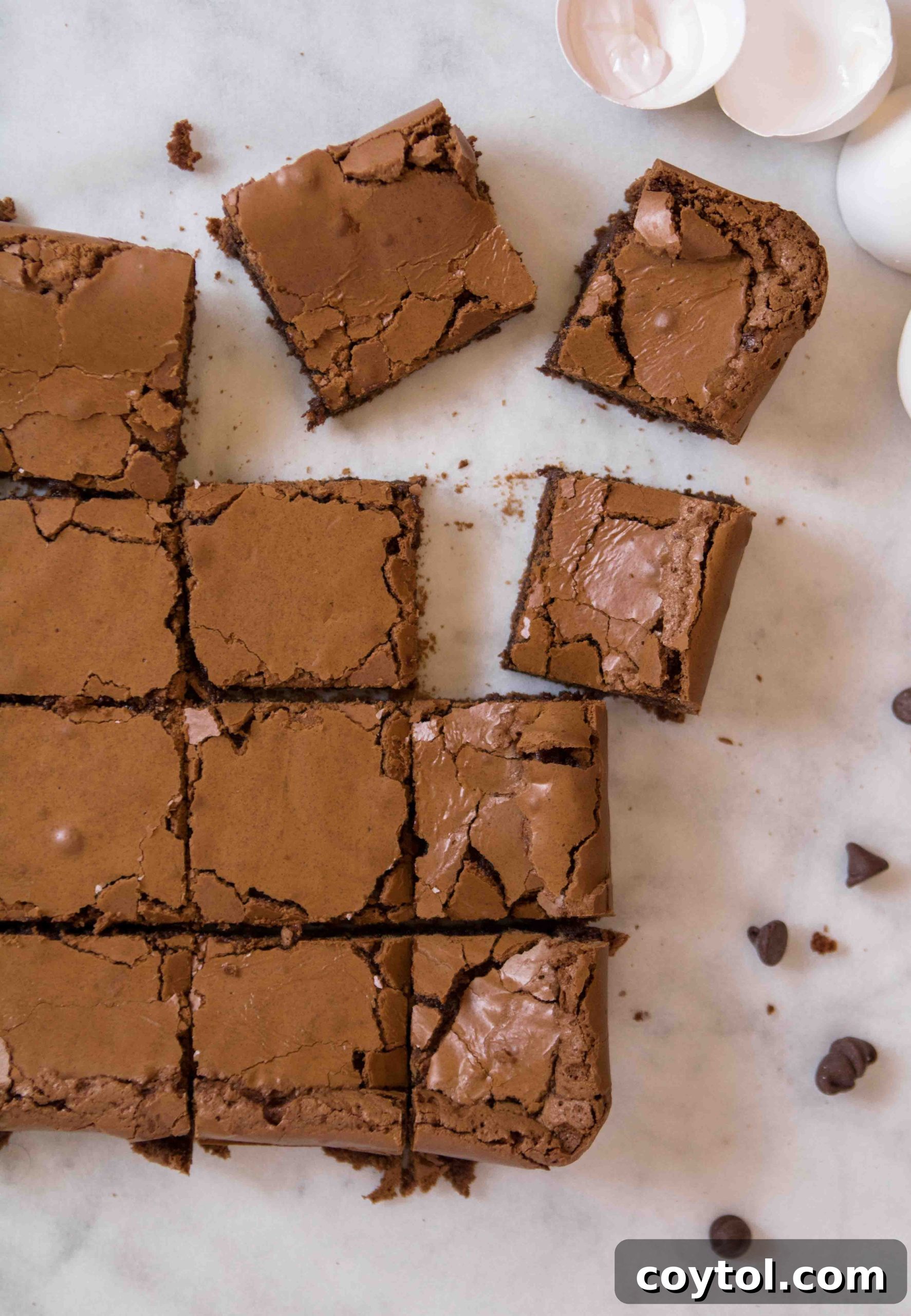 Close-up of brownies made without cocoa powder, showing a perfectly set, yet gooey texture.