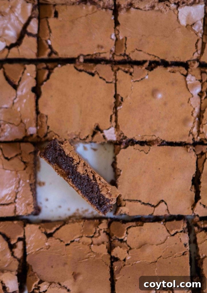 Homemade brownies from scratch without cocoa powder, showcasing a perfect fudgy texture.