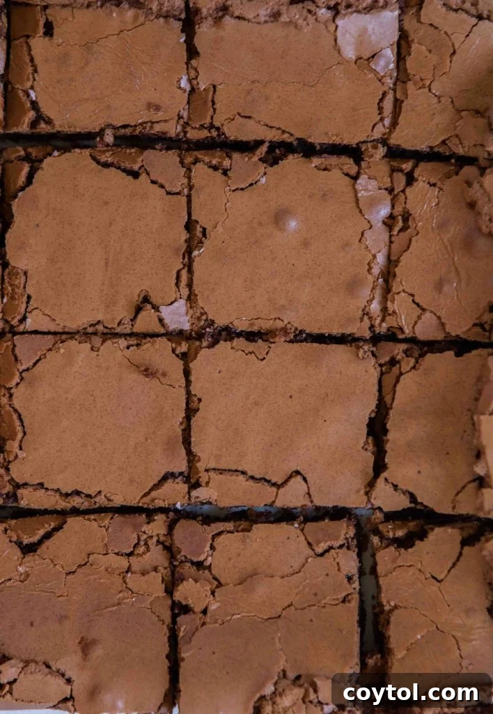 Brownie recipe without cocoa powder, showing a deeply colored, rich square on a plate.