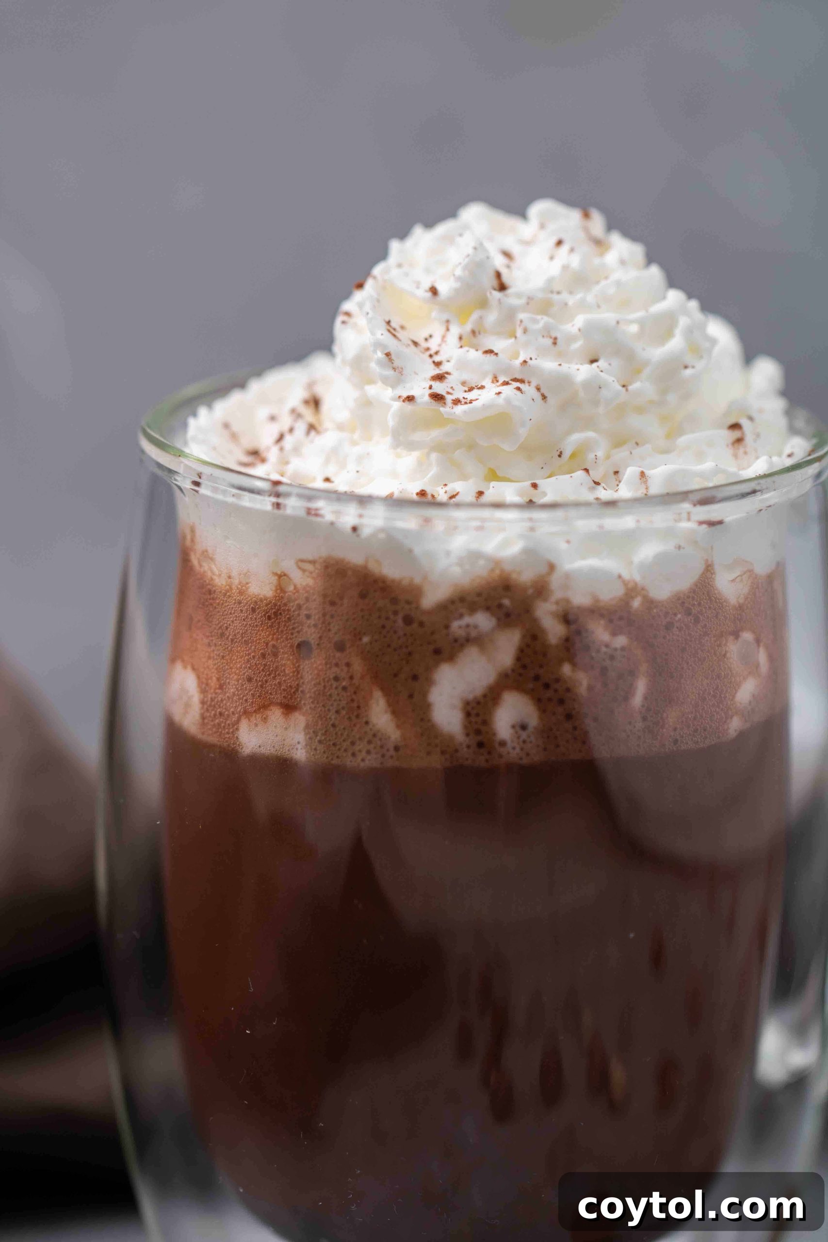 Guilt-Free 3-Ingredient Hazelnut Hot Chocolate 2 Cozy hazelnut hot chocolate mug