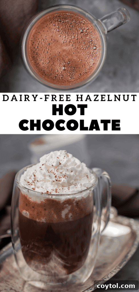 Guilt-Free 3-Ingredient Hazelnut Hot Chocolate 11 Easy dairy free hazelnut hot chocolate recipe pin