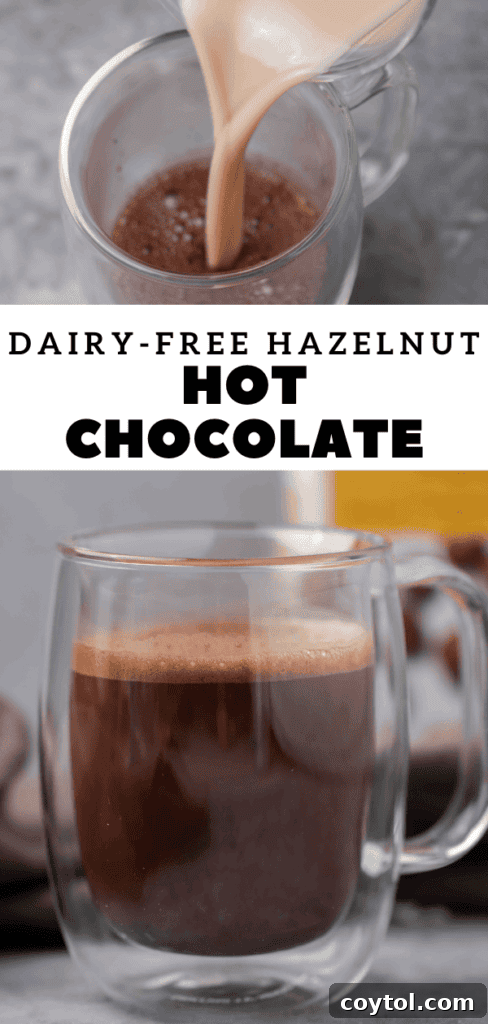 Guilt-Free 3-Ingredient Hazelnut Hot Chocolate 12 Simple 3-ingredient hazelnut hot chocolate for Pinterest