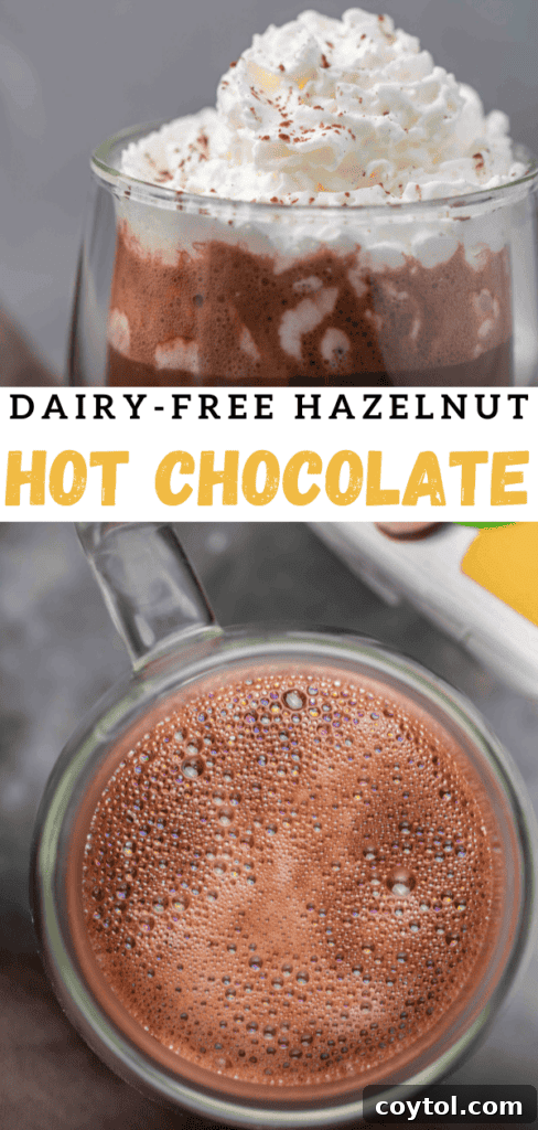 Guilt-Free 3-Ingredient Hazelnut Hot Chocolate 13 How to make vegan hazelnut hot chocolate pin