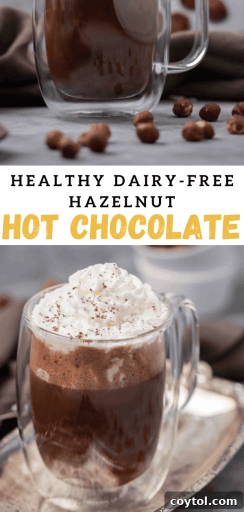 Guilt-Free 3-Ingredient Hazelnut Hot Chocolate 14 Homemade healthy hazelnut hot chocolate recipe