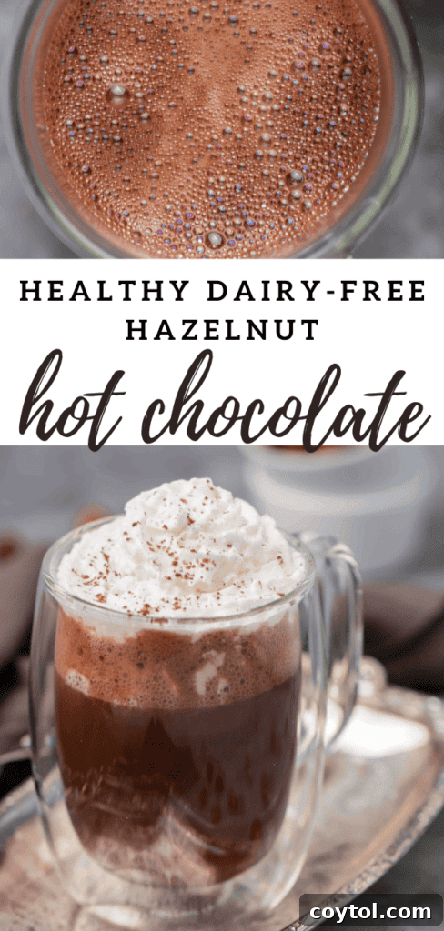 Guilt-Free 3-Ingredient Hazelnut Hot Chocolate 15 Delicious dairy-free hot chocolate with hazelnut