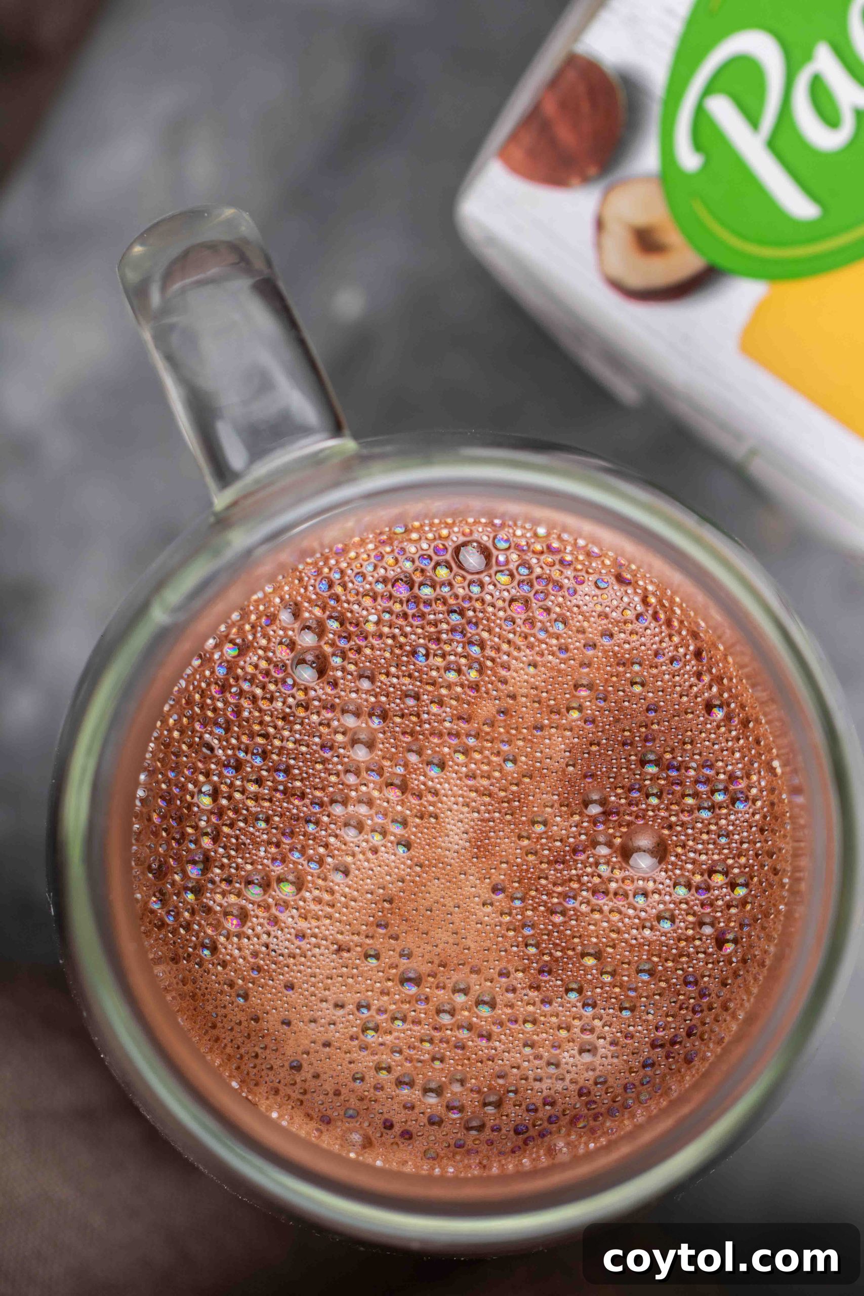 Guilt-Free 3-Ingredient Hazelnut Hot Chocolate 3 Delicious vegan hazelnut hot chocolate