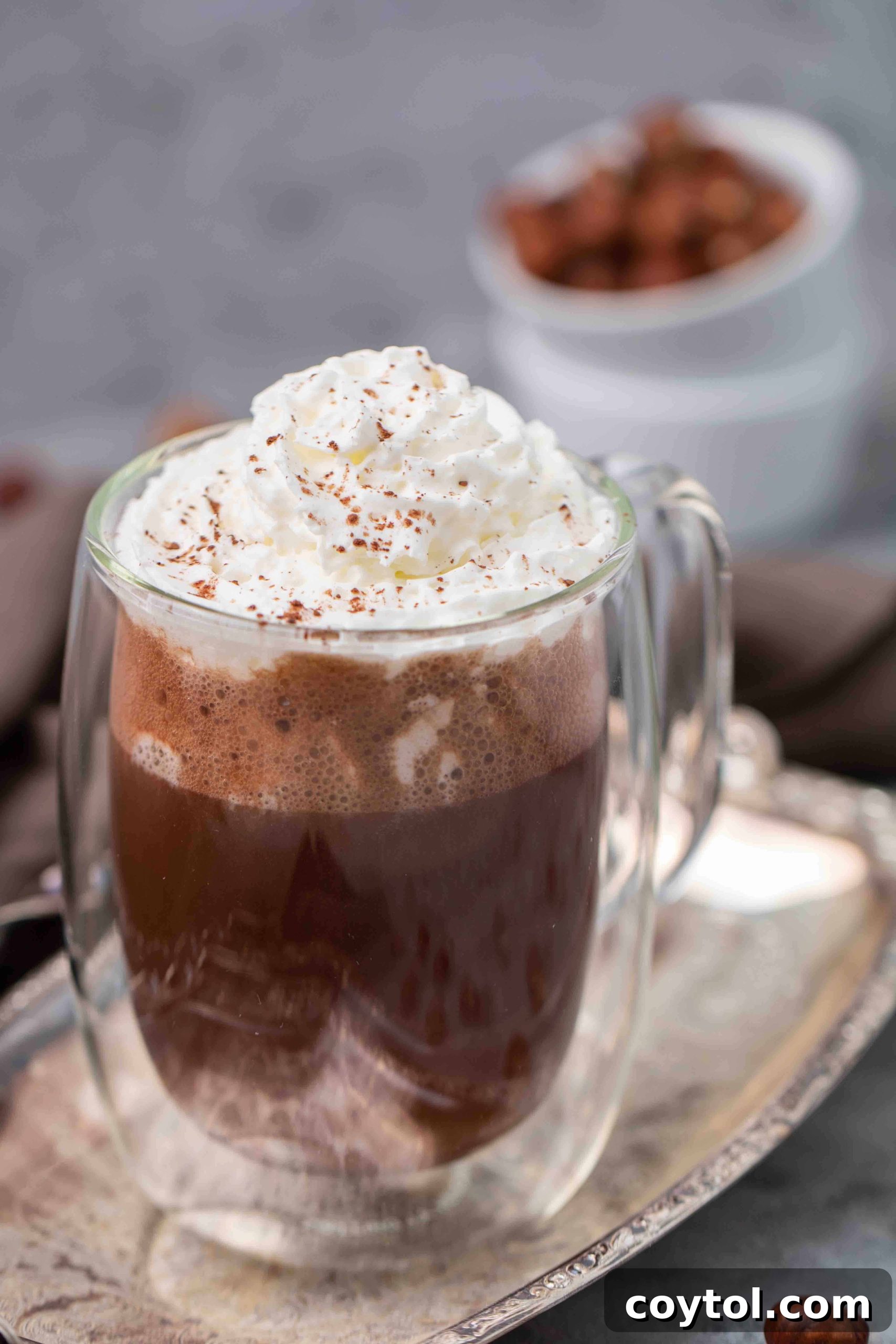 Guilt-Free 3-Ingredient Hazelnut Hot Chocolate 8 Vegan hazelnut hot chocolate with whipped cream and chocolate shavings
