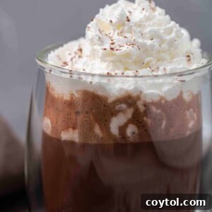 Guilt-Free 3-Ingredient Hazelnut Hot Chocolate 9 3-ingredient-hazelnut-hot-chocolate