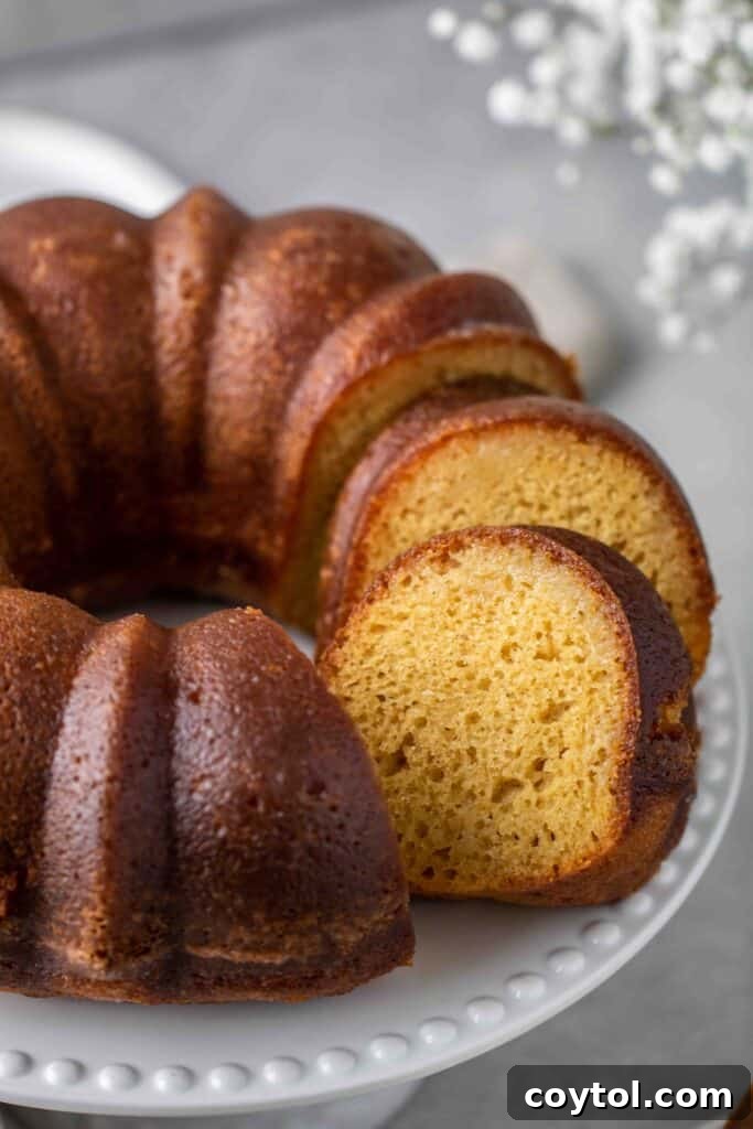 The Ultimate Not-Too-Sweet Bundt Cake 13 Moist butter cake crack cake recipe, close up