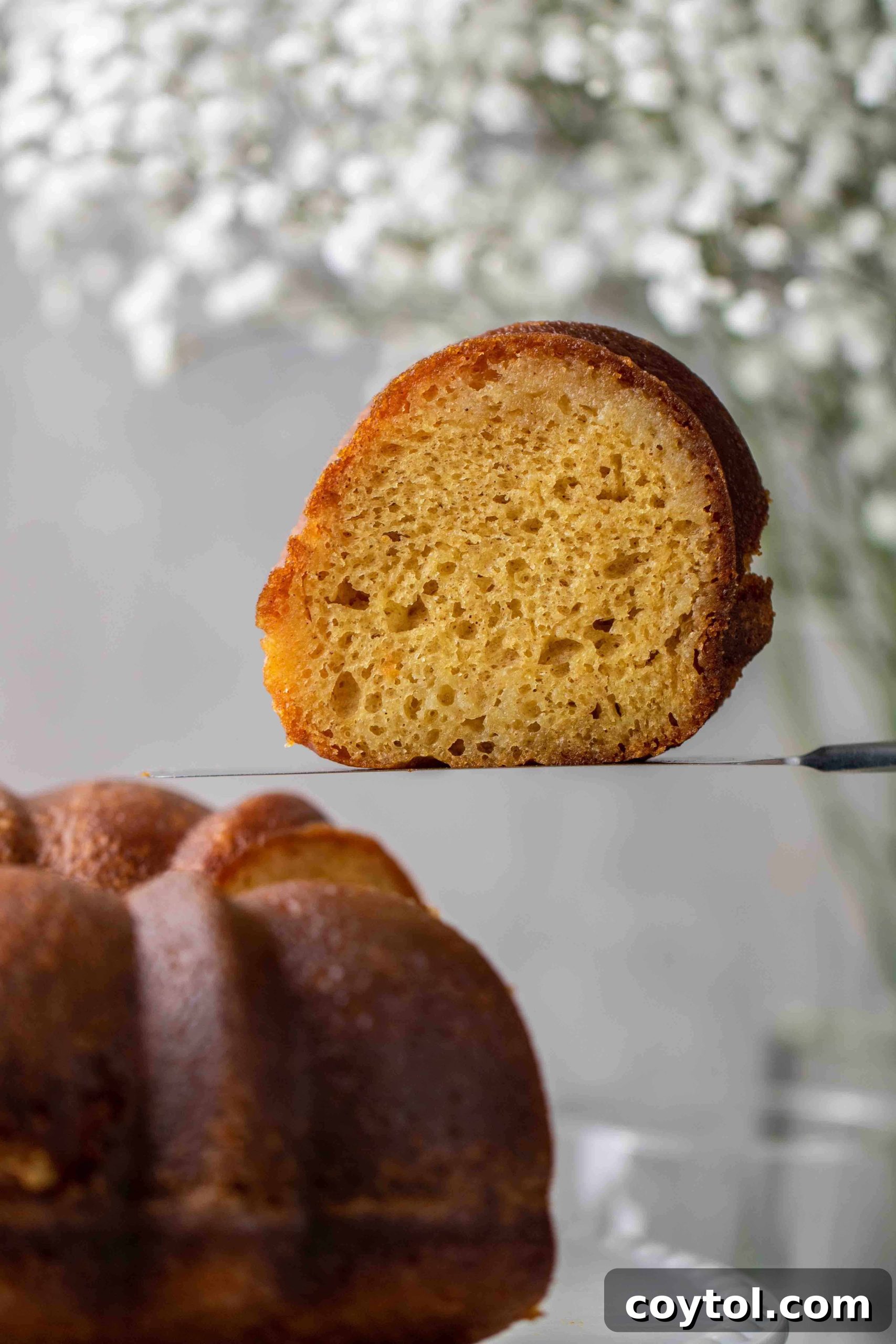 The Ultimate Not-Too-Sweet Bundt Cake 17 How to store crack cake? A fully prepared bundt cake