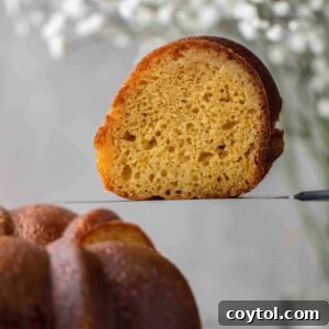 The Ultimate Not-Too-Sweet Bundt Cake 18 A beautifully glazed Crack Cake bundt cake