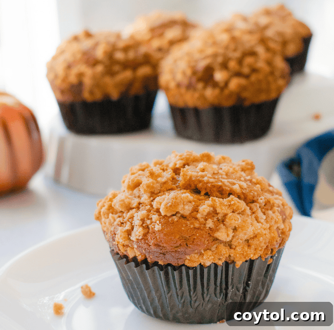 Pumpkin Streusel muffins for the 24 days of pumpkin recipes