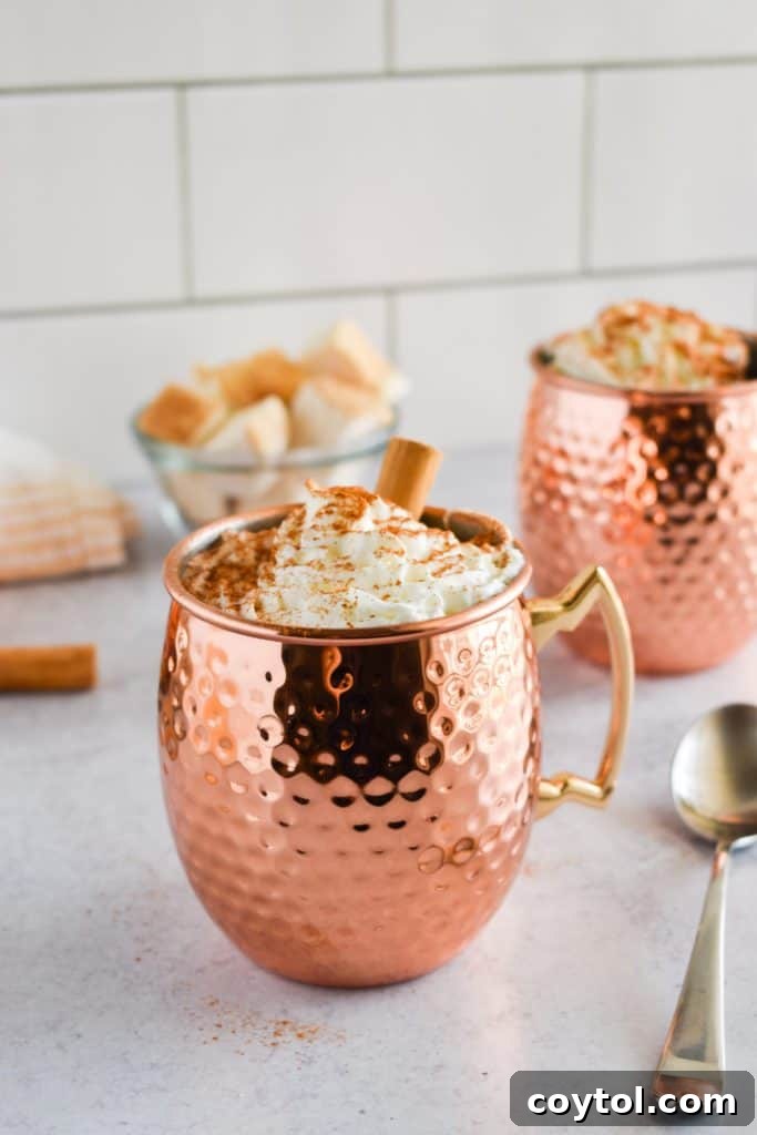 Pumpkin hot chocolate mix recipe for the 24 days of pumpkin recipes