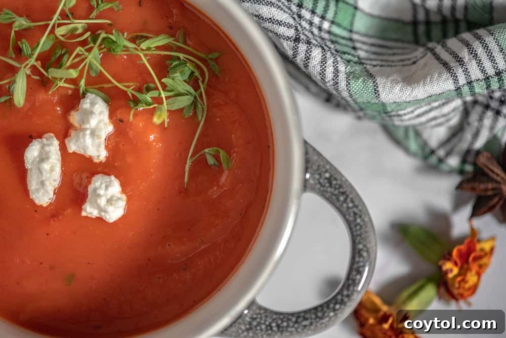 Pumpkin and roasted red peppers soup from cooking with wine