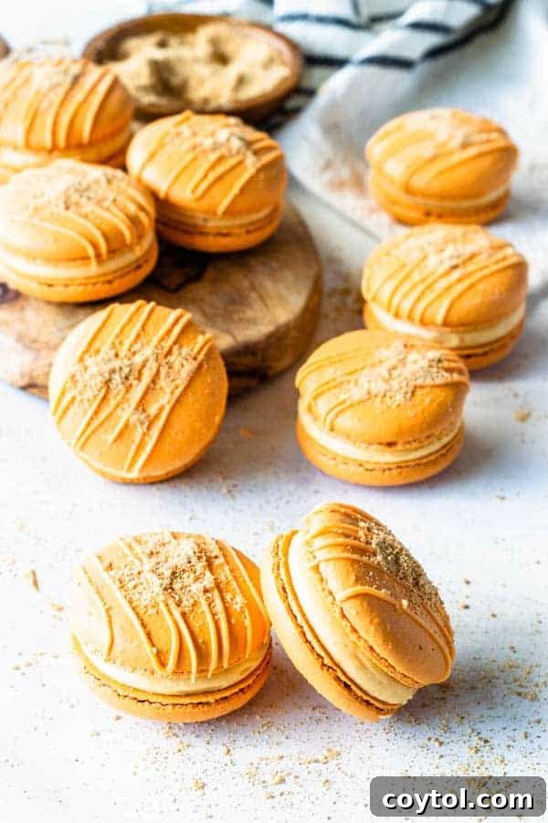 Pies and Tacos pumpkin macaroons for the 24 days of pumpkin recipes