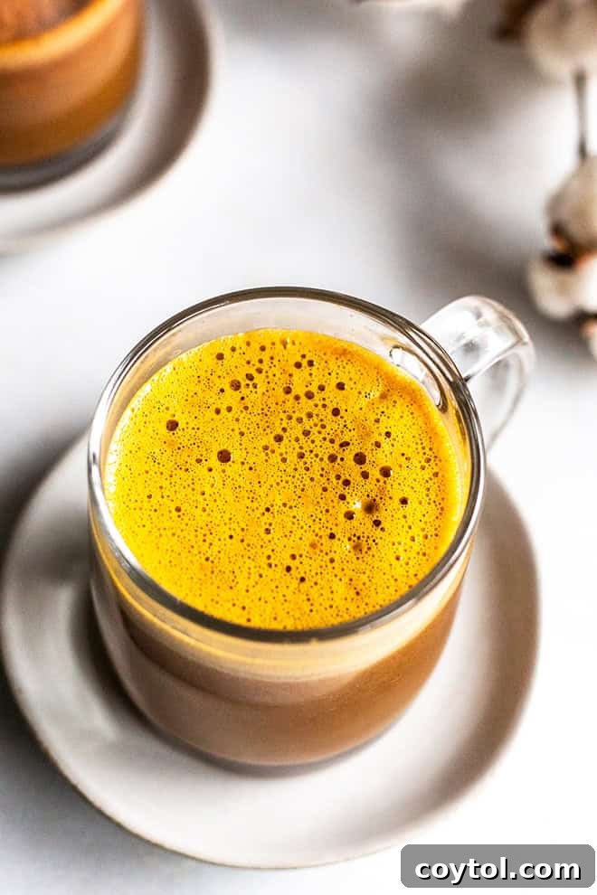 Pumpkin Chai blender latte by miss allie's kitchen for the 24 days of pumpkin recipes