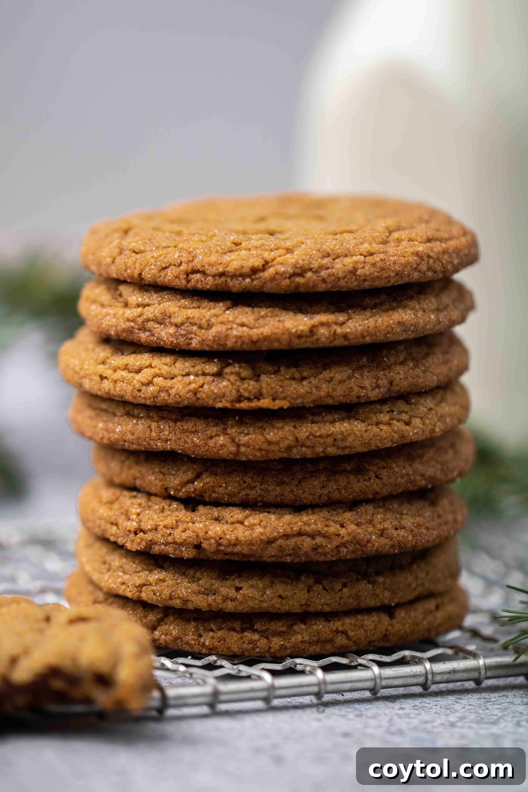Stack of beautifully crinkled ginger molasses cookies, dusted with sugar