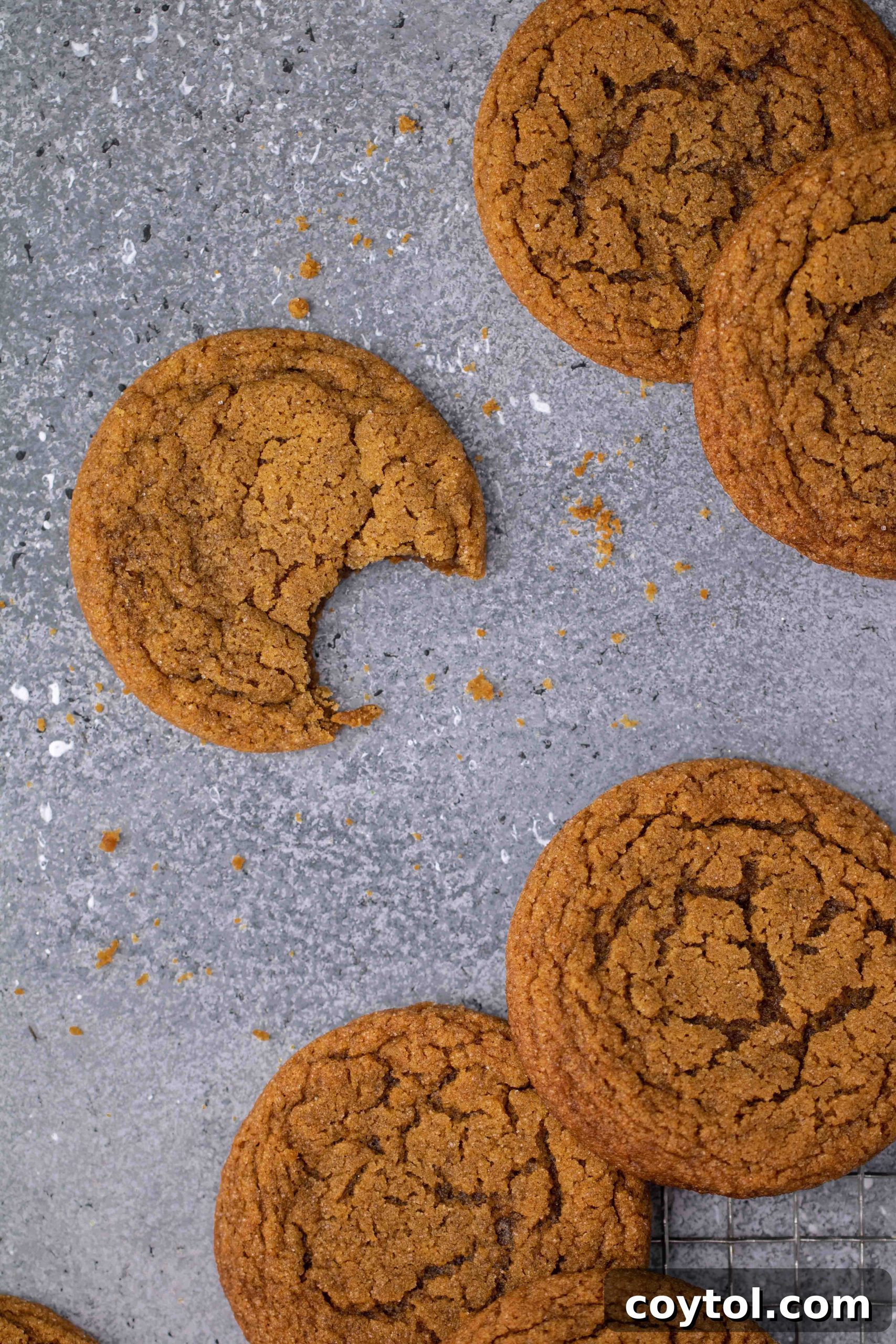 Overhead shot of freshly baked ginger molasses cookies on a rustic wooden surface