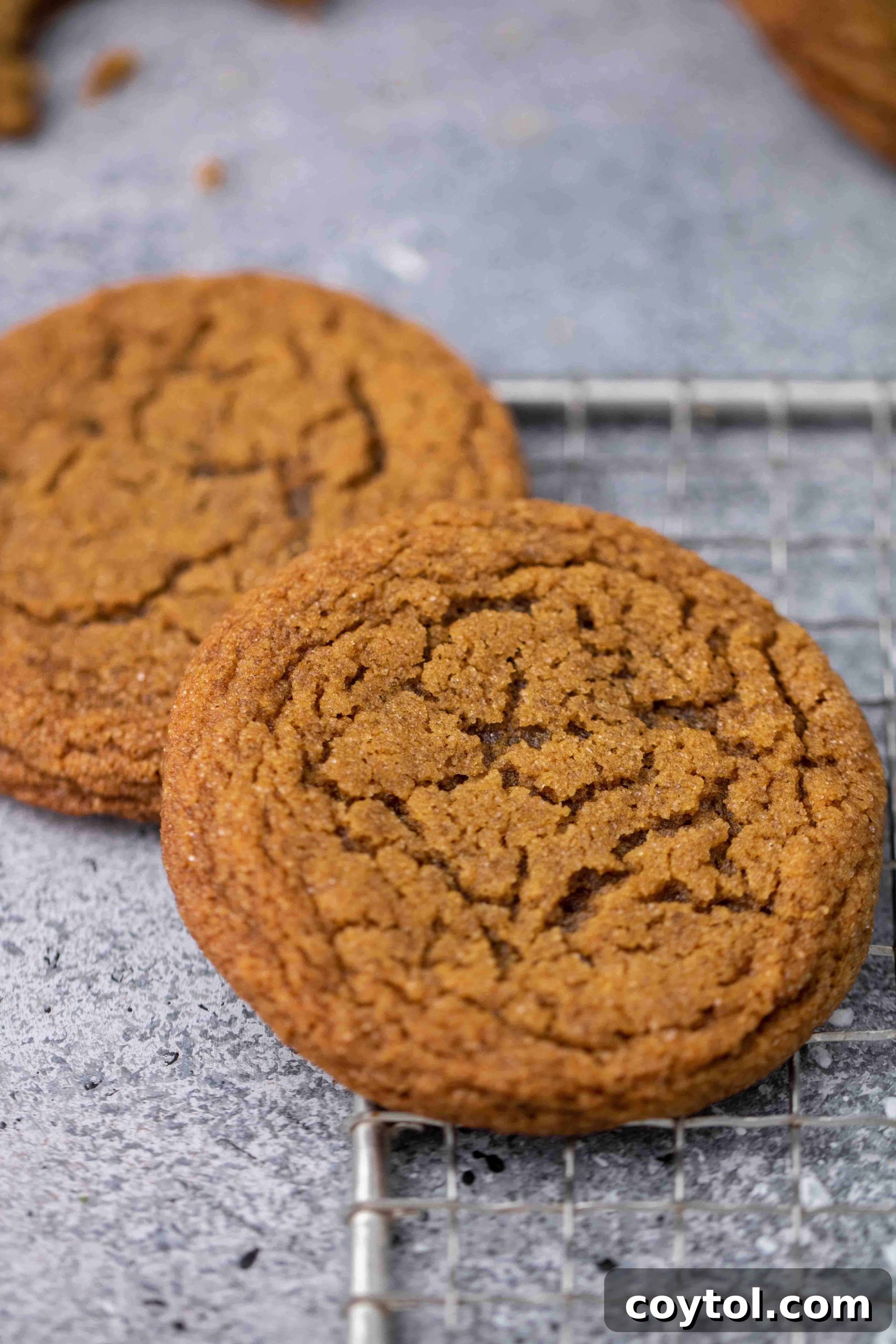 Close-up of the perfectly crinkled texture of a ginger molasses cookie