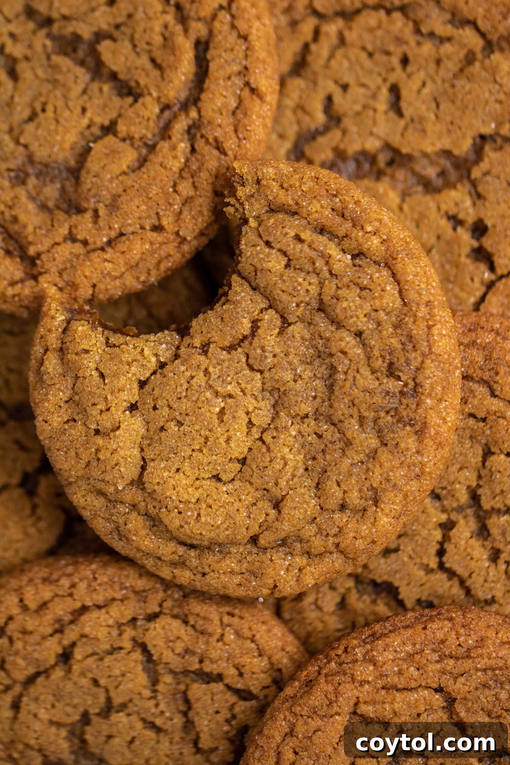 A close-up shot of the soft and chewy interior of a ginger molasses cookie